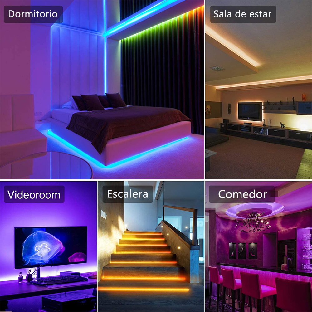 Tira Led Luces Neón Flexible 5m 12v Decorativa Luz IP65