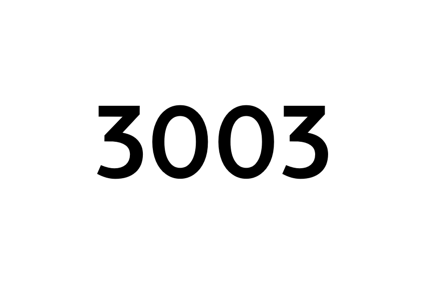 3003