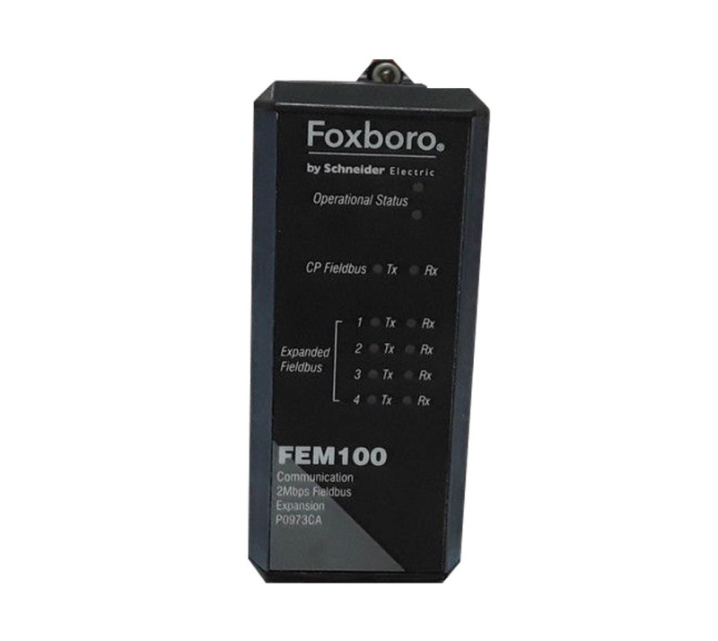 Foxboro FEM100 P0973CA