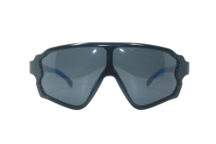 China Sunglasses Suppliers for OEM Custom Logo Sunglasses for Luxury Brand Eyewear