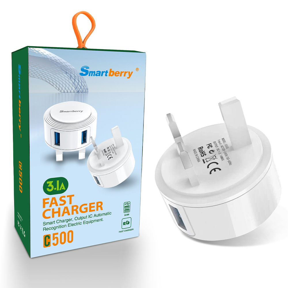 Smartberry 智能充电器C500,Huilong Group