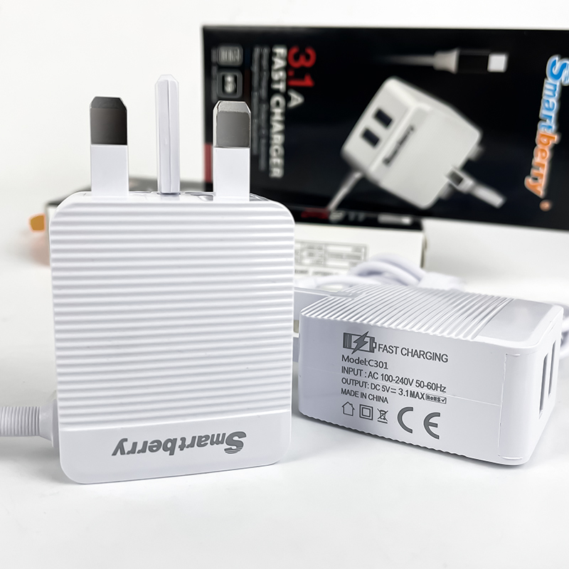 Smartberry 智能充电器C301,Huilong Group