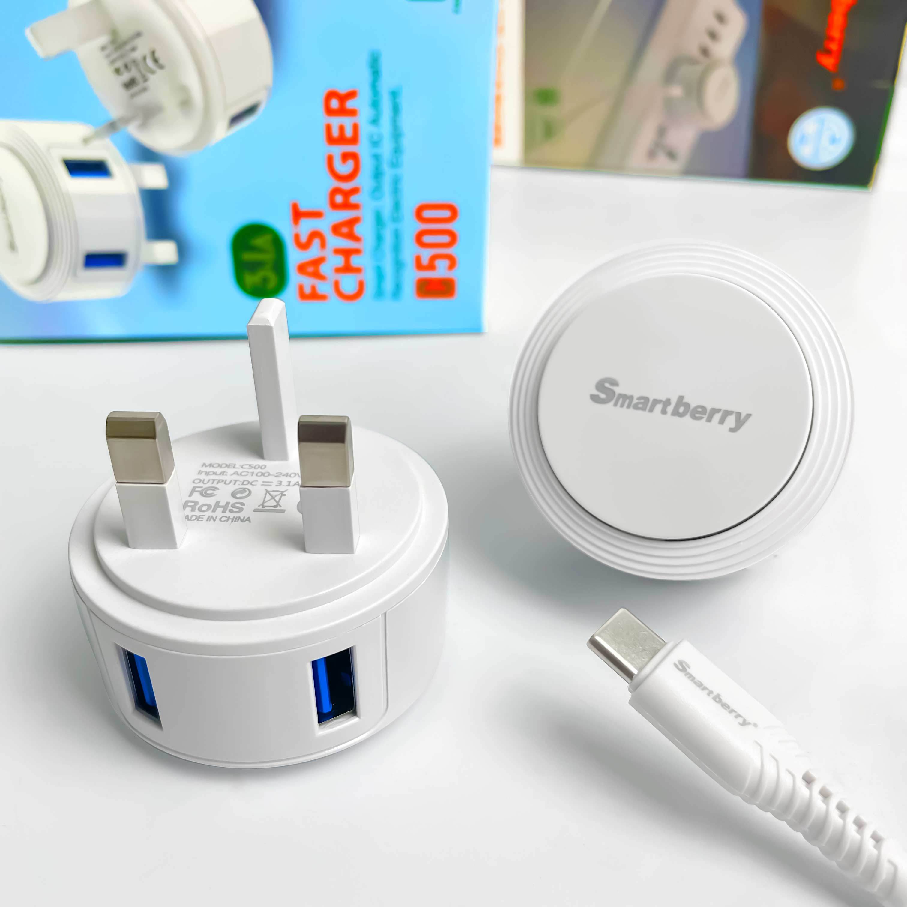 Smartberry 智能充电器C500,Huilong Group