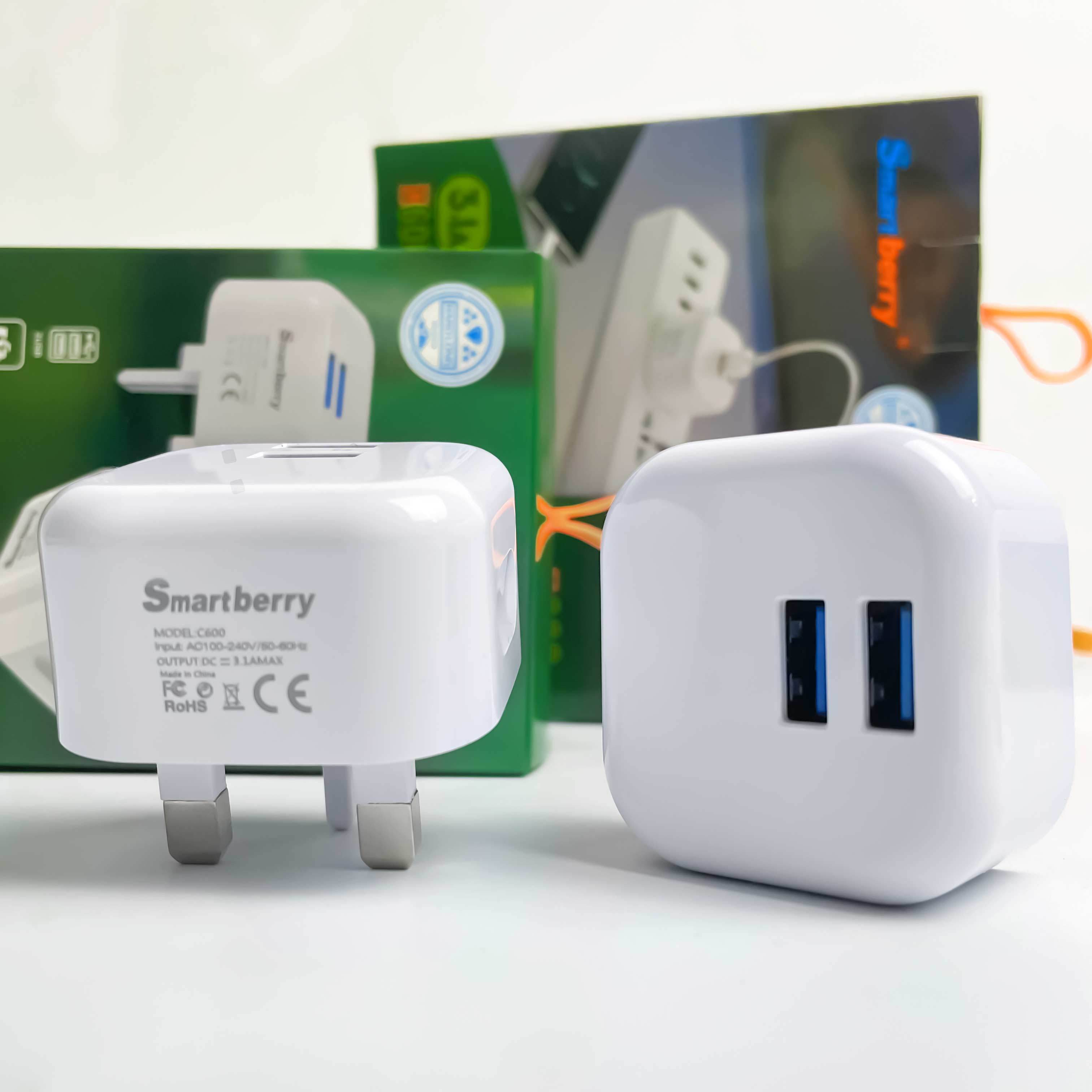 Smartberry 智能充电器C600,Huilong Group