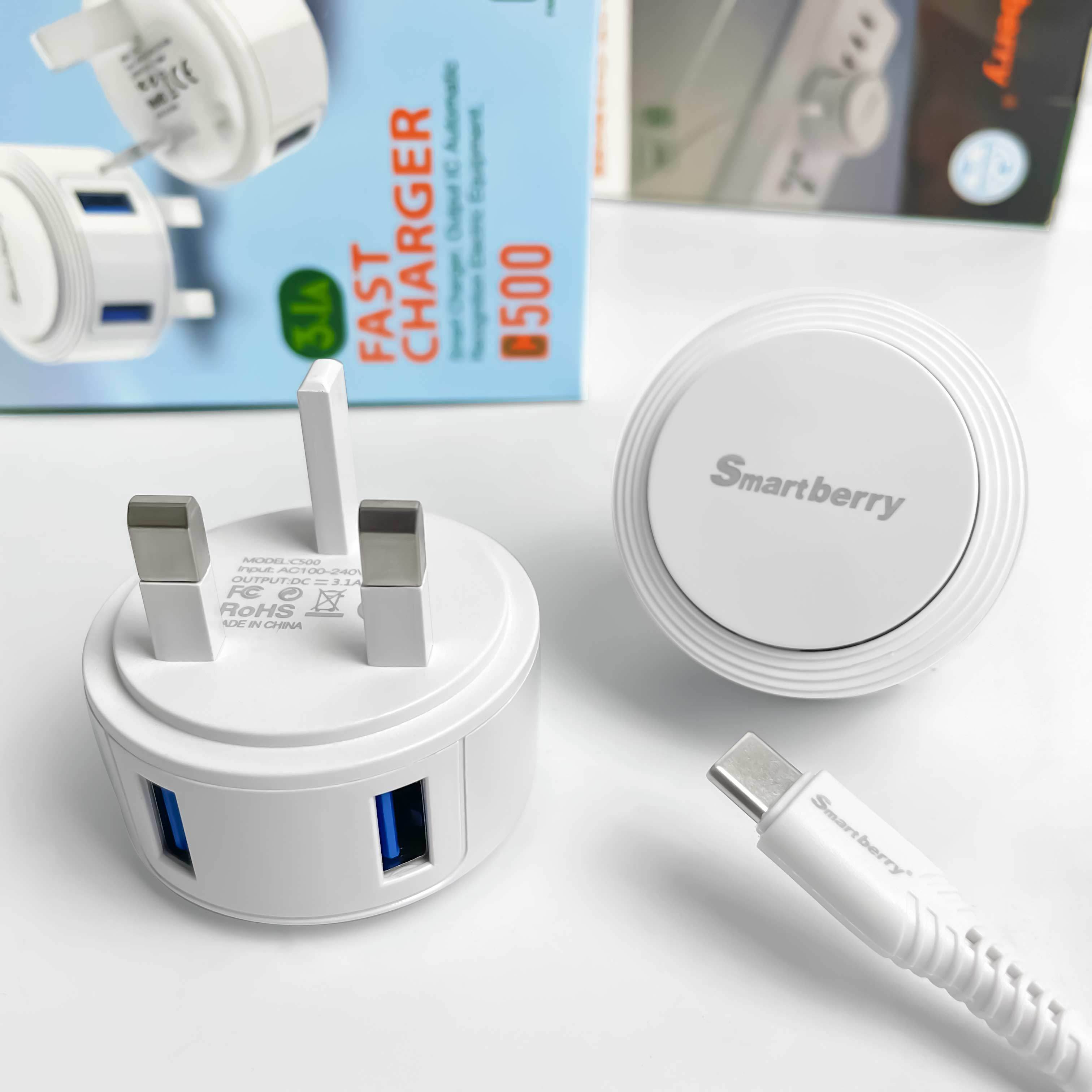 Smartberry 智能充电器C500,Huilong Group