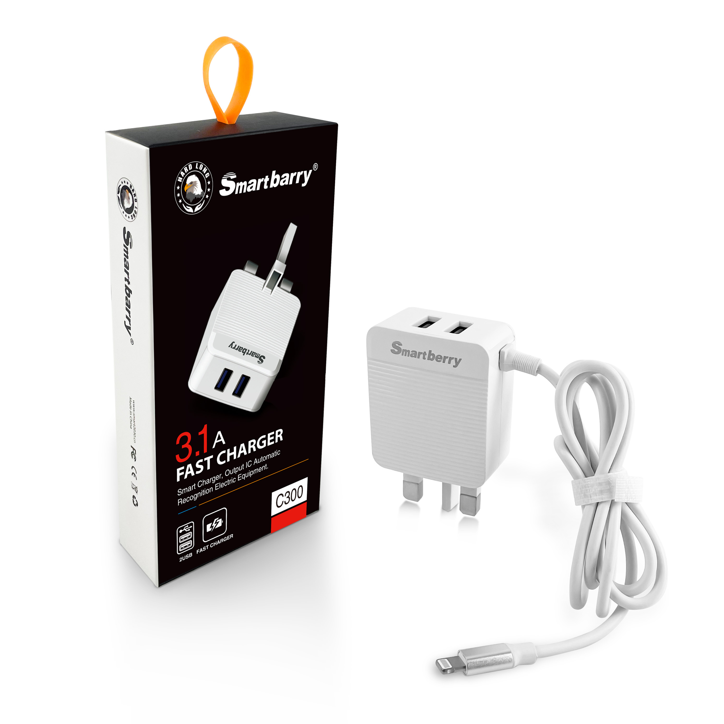 Smartberry smart charger C300,nodizz