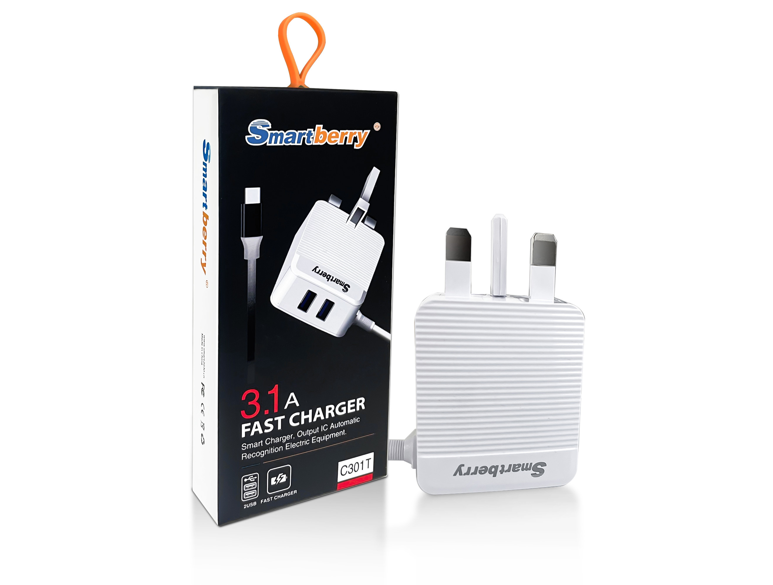 Smartberry smart charger C300,nodizz