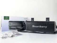 Smartbarry 蓝牙音频麦克风M28,Huilong Group