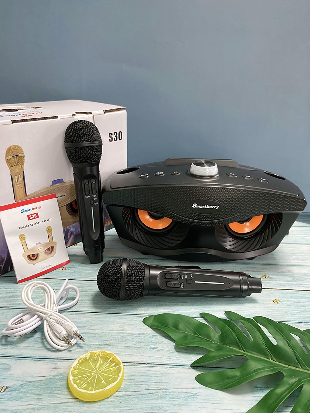 Smartbarry Bluetooth audio microphone S30,nodizz