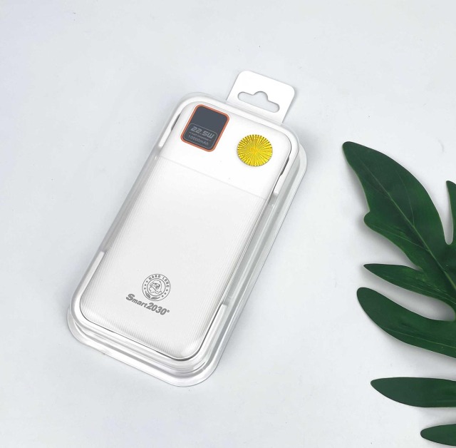 Smart2030 بنك الطاقة الذكي P61,Huilong Group