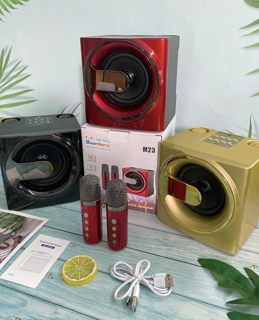 Smartbarry ميكروفون صوت بلوتوث M23,Huilong Group