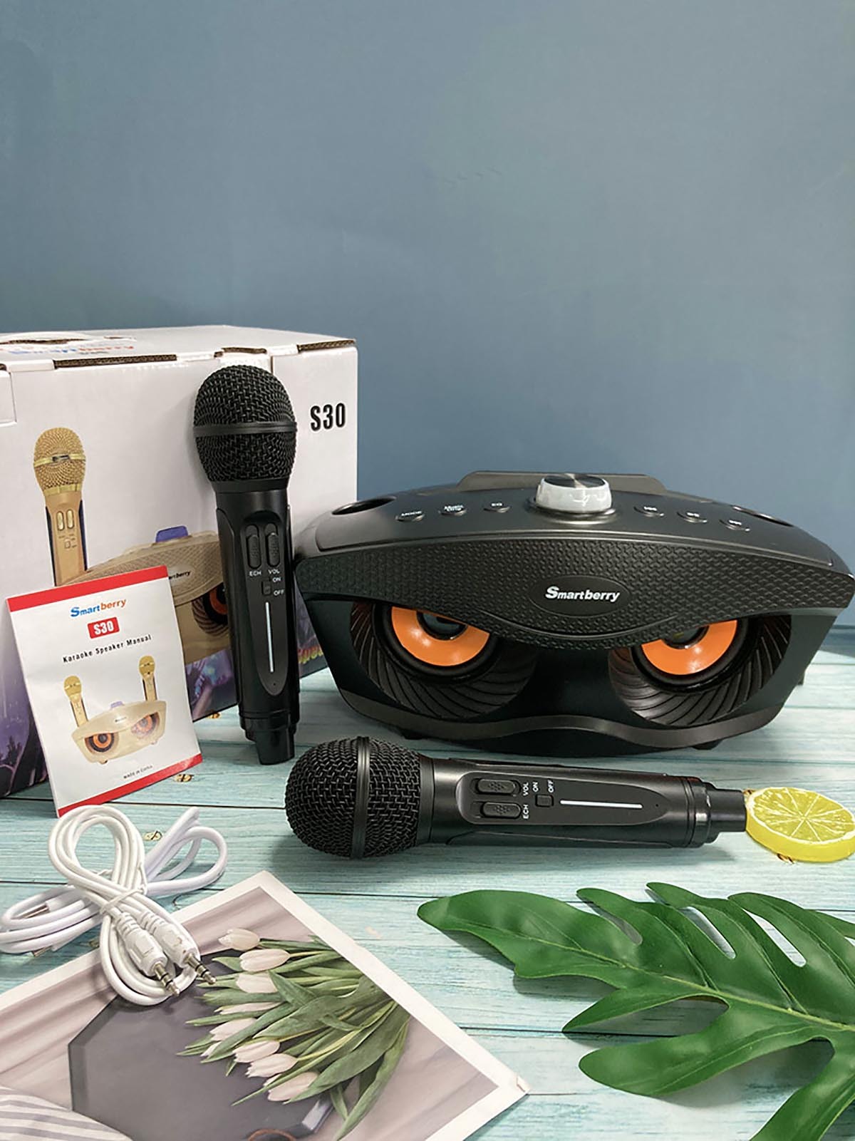 Smartbarry Bluetooth audio microphone S30,nodizz