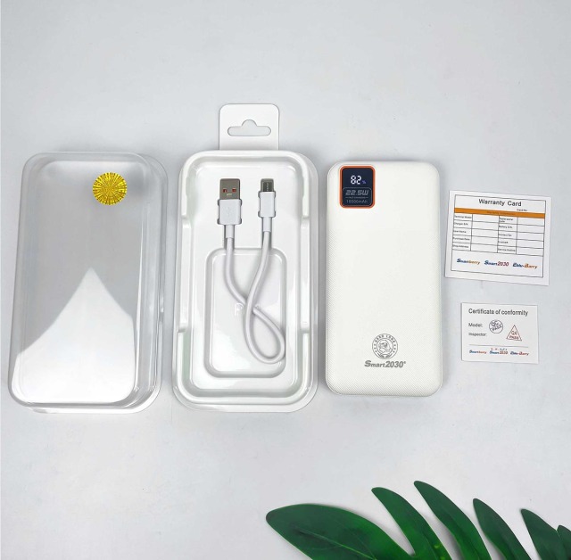 Smart2030 بنك الطاقة الذكي P61,Huilong Group