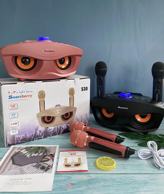 Smartbarry ميكروفون صوت بلوتوث S30,Huilong Group