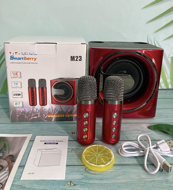 Smartbarry ميكروفون صوت بلوتوث M23,Huilong Group