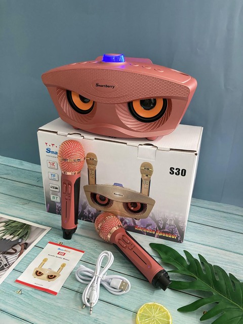 Smartbarry ميكروفون صوت بلوتوث S30,Huilong Group