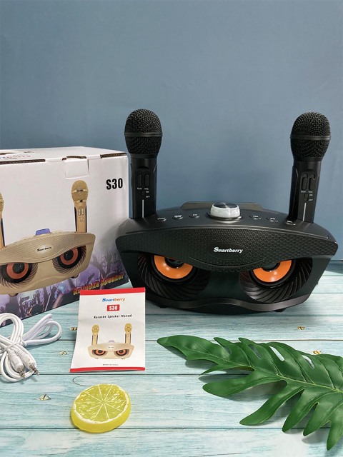 Smartbarry ميكروفون صوت بلوتوث S30,Huilong Group