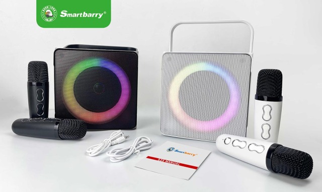 Smartbarry ميكروفون صوت بلوتوث M25,Huilong Group