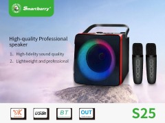 Smartbarry ميكروفون صوت بلوتوث M25,Huilong Group