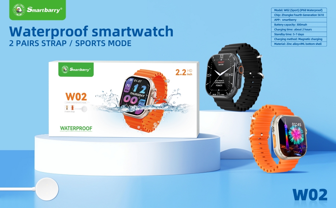 Waterproof smartwatch W02,Huilong Group