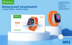 Waterproof smartwatch W02,Huilong Group