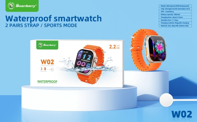 Waterproof smartwatch W02,Huilong Group