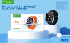 Waterproof smartwatch W02,Huilong Group