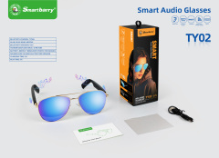 Bluetooth glasses TY02,Huilong Group