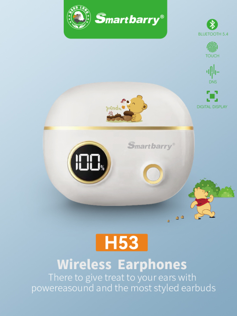 Bluetooth headset H53,Huilong Group