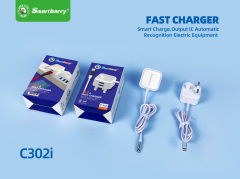 Smartberry 智能充电器C302,Huilong Group