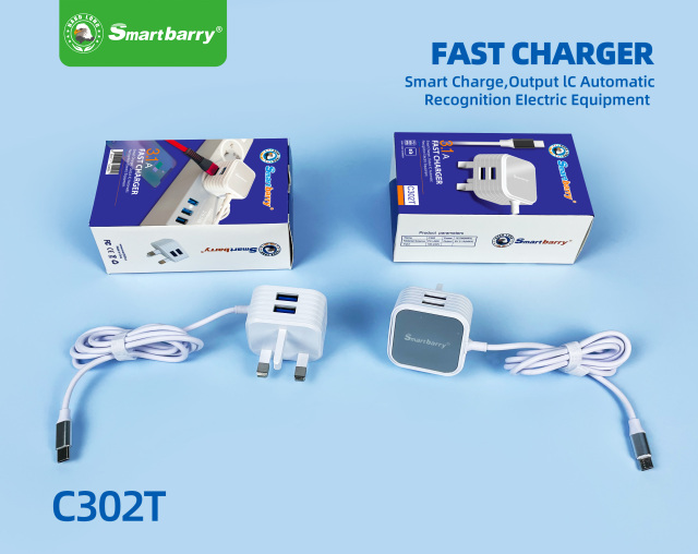 Smartberry 智能充电器C302,Huilong Group