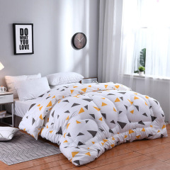 Custom Soft Printed Bedding Warm Winter Quilt Thickened Comforter for Home Use