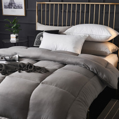 100% Polyester Custom Thick Warm Winter Quilt Wholesale White Hotel Comforter Bedding for Home