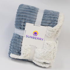 Soft Throw Blanket for Couch - Cozy Warm Flannel Decorative Blankets, Lightweight 2 Ply Blanket for Bed Sofa