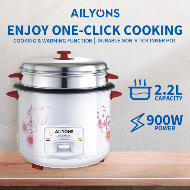 JIKO LA MCHELE LA AILYONS RCX-22B01