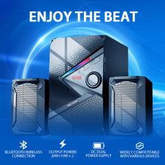 AILYONS 2.1CH ELP2411K-1 subwoofer/speaker system