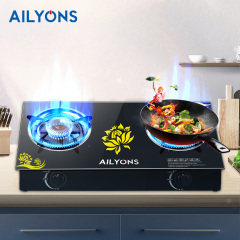 AILYONS GS014-5 Gas Stove Double Burner
