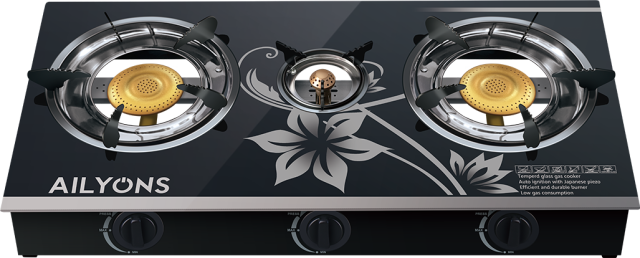 AILYONS GS014-6 Gas Stove Double Burner