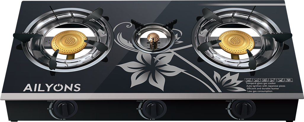 AILYONS GS014-6 Gas Stove Double Burner