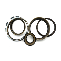 6T75E Piston Kit