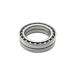 GW6A FW6A CVT Bearing