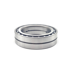 GW6A FW6A CVT Bearing