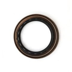 DQ200 front Seal