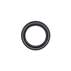 GW6A FW6A FZ21 Front Seal