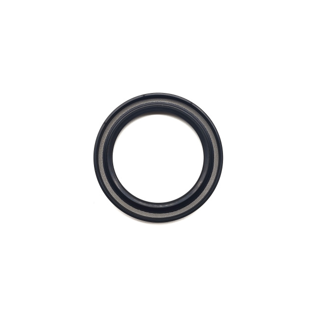 GW6A FW6A FZ21 Front Seal