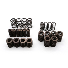 MPS6 6DCT450 Shock plate repair kit