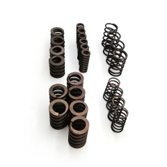 MPS6 6DCT450 Shock plate repair kit