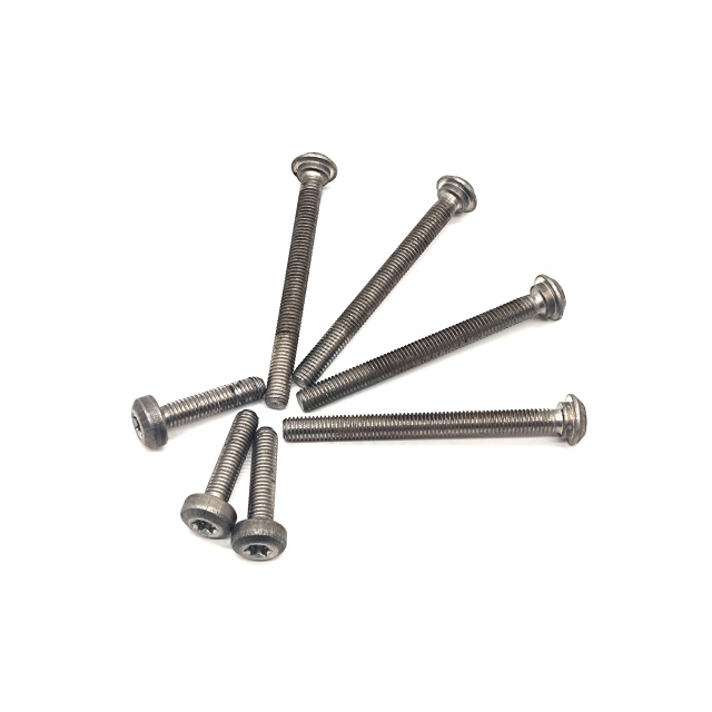 OAM Valve body screws