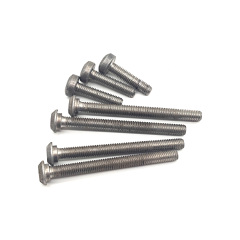 OAM Valve body screws