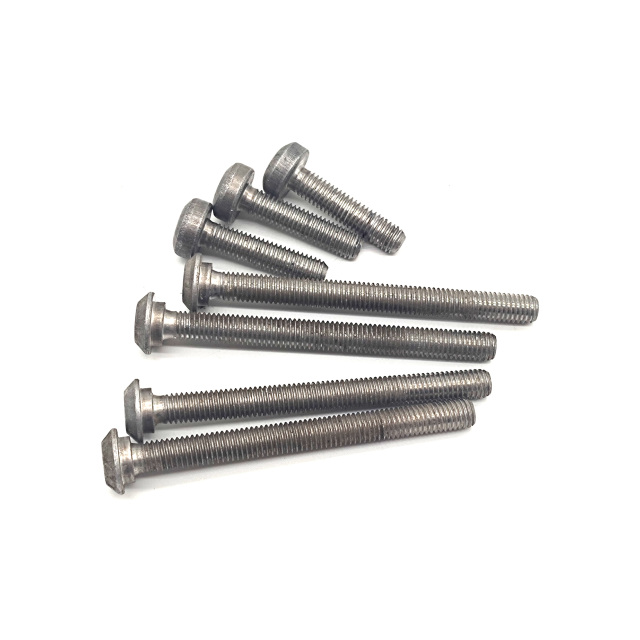 OAM Valve body screws